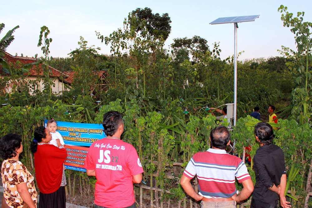 Mahasiswa ITN Malang Manfaatkan Solar Cell Agar Pohon Buah Naga Lekas Berbunga